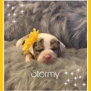 Meet your Posher, Mitch